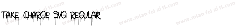 Take Charge SVG Regular字体转换